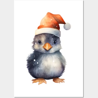 American Coot in Santa Hat Posters and Art